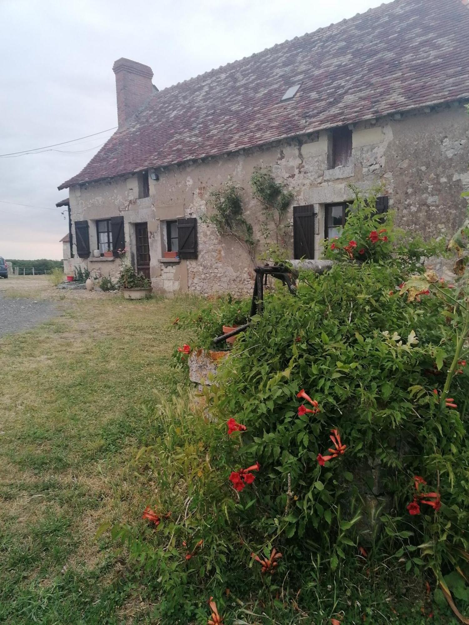 Gite 4 Pers, Jacuzzi, Piscine, Proche Futuroscope, Calme Et Nature A La Roche Posay La Roche-Posay Exterior foto