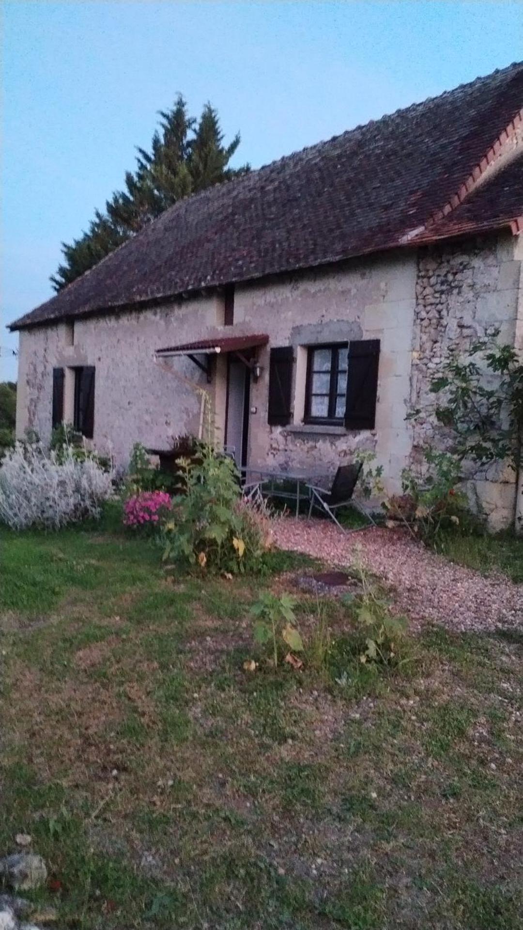 Gite 4 Pers, Jacuzzi, Piscine, Proche Futuroscope, Calme Et Nature A La Roche Posay La Roche-Posay Exterior foto